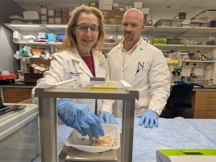 Testan con éxito en ratones una nueva vía para la alergia alimentaria: un fármaco del asma