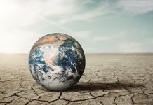 Cuando el cemento sustituye al verde: la huella humana en el cambio climático