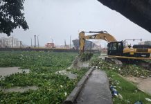 Cierran el Puente Flotante por paso de lilas y material orgánico arrastrados por río Ozama