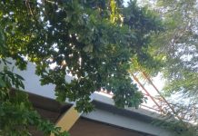 Ministro de Defensa dispone patrullaje militar en principales vías tras apagón eléctrico