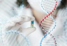 Terapia genética para la afección cardíaca da resultados exitosos en fase inicial de estudio con humanos