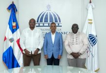 RD y Surinam exploran cooperación en hidrocarburos y fortalecen agenda energética bilateral