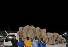 Ejército intercepta camión que transportaba haitianos indocumentados ocultos entre vegetales en Constanza