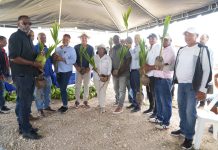 Ministerio de Agricultura adopta medidas para reactivar el desarrollo agrícola del Valle de Juancho