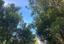 Miderec reabre Parque del Este y el Centro Olímpico JPD tras los juegos Santo Domingo 2026